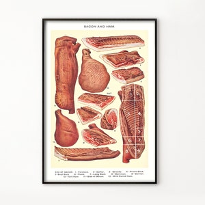May include: Vintage illustration showing different cuts of bacon and ham. The image features a side of bacon, a ham, and various cuts of meat labelled with numbers. The text reads "Bacon and Ham".