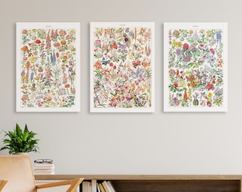 Vintage Flowers Poster Bundle. Printable Flower Species. Botanical Illustrations of Flower Plants. Digital Files for Decor and Education.