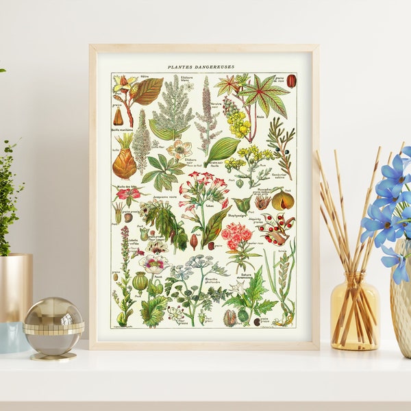 Giftige Kräuter und Pflanzenarten. Vintage Illustration von gefährlichen Blumen und Pflanzen. Druckbare digitale botanische Wandkunst.