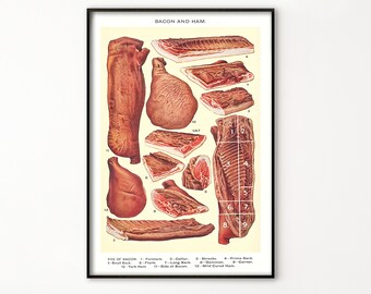 May include: Vintage illustration showing different cuts of bacon and ham. The image features a side of bacon, a ham, and various cuts of meat labelled with numbers. The text reads "Bacon and Ham".