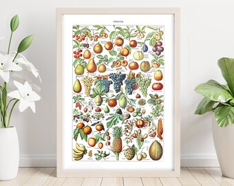 May include: A framed vintage botanical print titled "Fruits" featuring a detailed illustration of various fruits. The print showcases a variety of colorful fruits, including apples, pears, grapes, and bananas, with botanical labels. The print is in a light wooden frame.