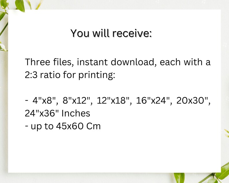 May include: Text on a white background that reads: "You will receive: Three files, instant download, each with a 2:3 ratio for printing: - 4"x8", 8"x12", 12"x18", 16"x24", 20x30", 24"x36" Inches - up to 45x60 Cm"