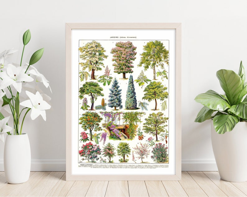 May include: A framed botanical print featuring various tree illustrations. The print, titled "Jardins (Arbres d'ornement)", showcases detailed drawings of different tree species with their scientific names. The artwork is in a light wood frame, suitable for home decor.