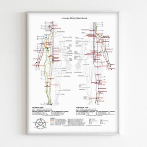 Meridianen van het menselijk lichaam, afdrukbare poster acupunctuur drukpunten wanddecoratie en print, poster Chinese geneeskunde, grafiek lichaamslevenslijnen.