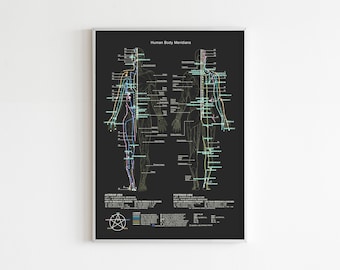 May include: A black and white anatomical chart showing the human body meridians. The chart shows the front and back of the body with lines and dots representing the meridians. The chart is titled "Human Body Meridians".