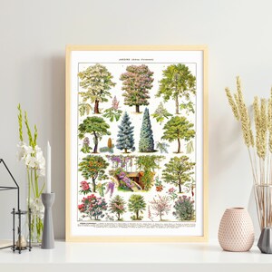 May include: A framed botanical print featuring a detailed illustration of various tree species. The print showcases a variety of trees with different leaf shapes, colors, and sizes, set against a white background. The print is in a light wood frame.