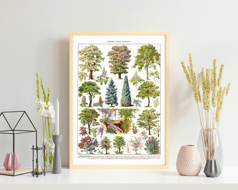 May include: A framed botanical print featuring a detailed illustration of various tree species. The print showcases a variety of trees with different leaf shapes, colors, and sizes, set against a white background. The print is in a light wood frame.