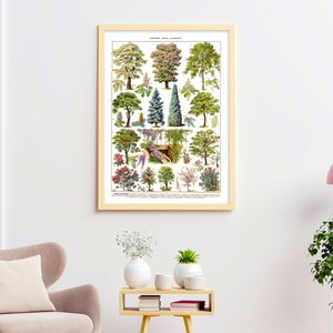 May include: A framed botanical print featuring various tree illustrations. The artwork showcases a variety of trees with detailed depictions of their leaves, flowers, and overall structure. The print is in a light wood frame and is displayed on a white wall.