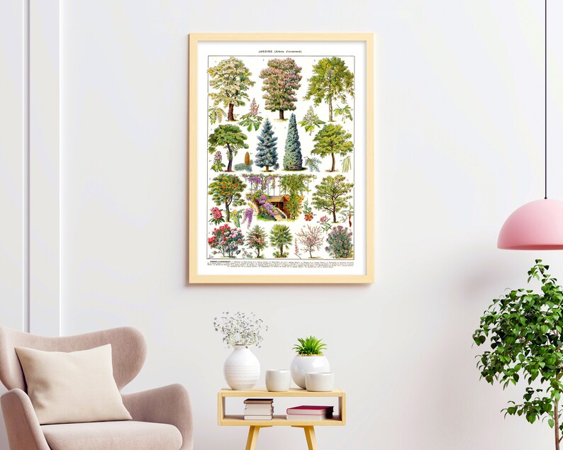 May include: A framed botanical print featuring various tree illustrations. The artwork showcases a variety of trees with detailed depictions of their leaves, flowers, and overall structure. The print is in a light wood frame and is displayed on a white wall.