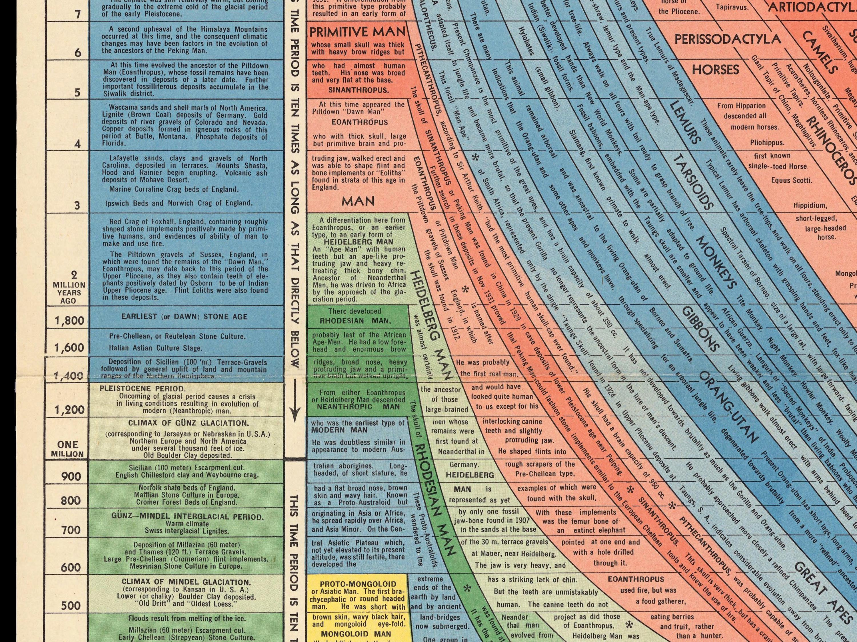 Vintage Histomap of Evolution 1932, Timeline of Life Wall Art, Antique ...