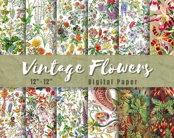Vintage Flowers Digital Paper. 12 Designs Bundle. 12" x 12" | 300 DPI. Commercial Free. Flower Backgrounds. Botanical, Floral Sublimation.