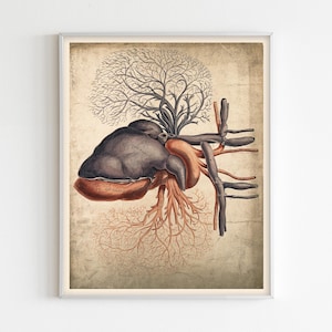 Vintage Heart Drawing, Hand Drawn Heart Anatomy Illustration, Retro Cardiology Wall Decor, Heart Drawing Wall Art, Antique Medical Art.