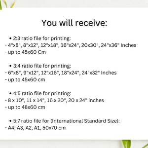 May include: White background with text: "You will receive:" followed by print size ratios and dimensions in inches and centimeters. Includes sizes such as 4"x8", 8"x12", and up to 24"x36" inches.