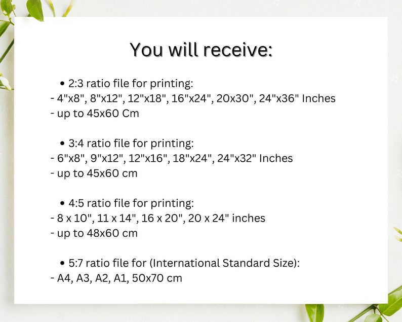 May include: White background with text: "You will receive:" followed by print size ratios and dimensions in inches and centimeters. Includes sizes such as 4"x8", 8"x12", and up to 24"x36" inches.