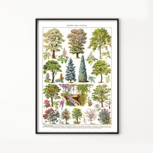 May include: A vintage botanical illustration featuring 18 different types of trees and shrubs. The image is in a muted color palette with shades of green, brown, pink, and white. The image is labeled "ARBORESCENCE (Arbres d'ornement)" and "JARDINS D'ORNEMENT"