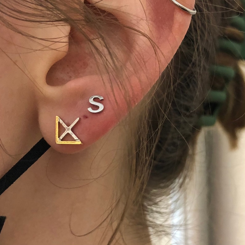 Economics-themed Earrings image 1