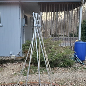 Könnte beinhalten: Ein Metall-Gartenspalier in Teepee-Form, das in einem Bett aus braunen Blättern steht. Das Spalier besteht aus sechs Stangen, die oben miteinander verbunden sind.