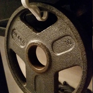 May include: A gray weight plate with a 10-pound marking is held by a white hook. The weight plate has a central hole and a textured surface. The word "WEIDER" is embossed on the plate.