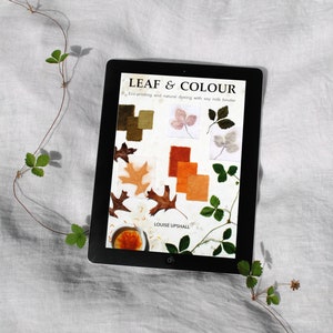 Leaf & Colour ebook // natural dyeing and eco-printing tutorial