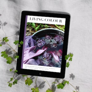 May include: A tablet screen displaying the cover of a magazine called "Living Colour". The cover features a close-up of a pot of purple dye with black berries soaking in it. The text "Issue One: Black Knight scabiosa dye baths and eco prints - dye blankets on paper - resist mosaic - purple ink - colour fields - and more!" is visible at the bottom of the screen.