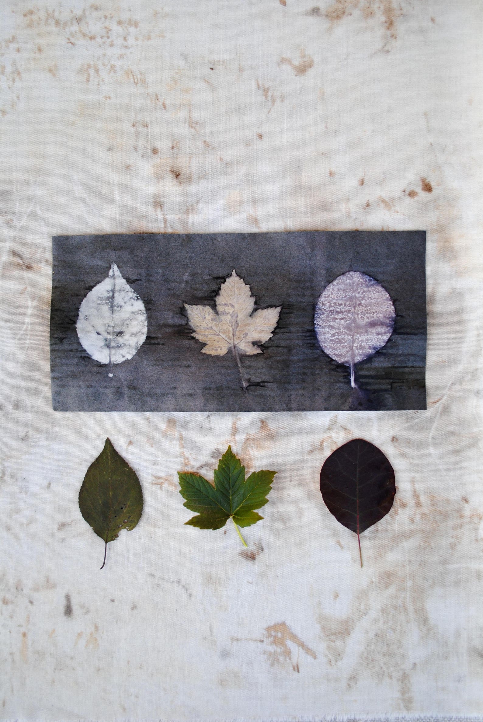 Ecoprinting on Paper Tutorial // Ecoprint Natural Dyeing Etsy