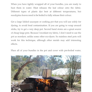 Peut inclure: Une casserole en acier inoxydable est pos&eacute;e sur un foyer en briques avec des flammes en dessous. La casserole est sur une grille en m&eacute;tal et il y a des arbres et des buissons en arri&egrave;re-plan.