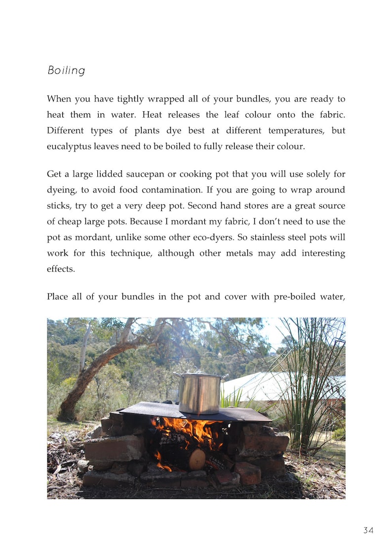 Peut inclure: Une casserole en acier inoxydable est pos&eacute;e sur un foyer en briques avec des flammes en dessous. La casserole est sur une grille en m&eacute;tal et il y a des arbres et des buissons en arri&egrave;re-plan.