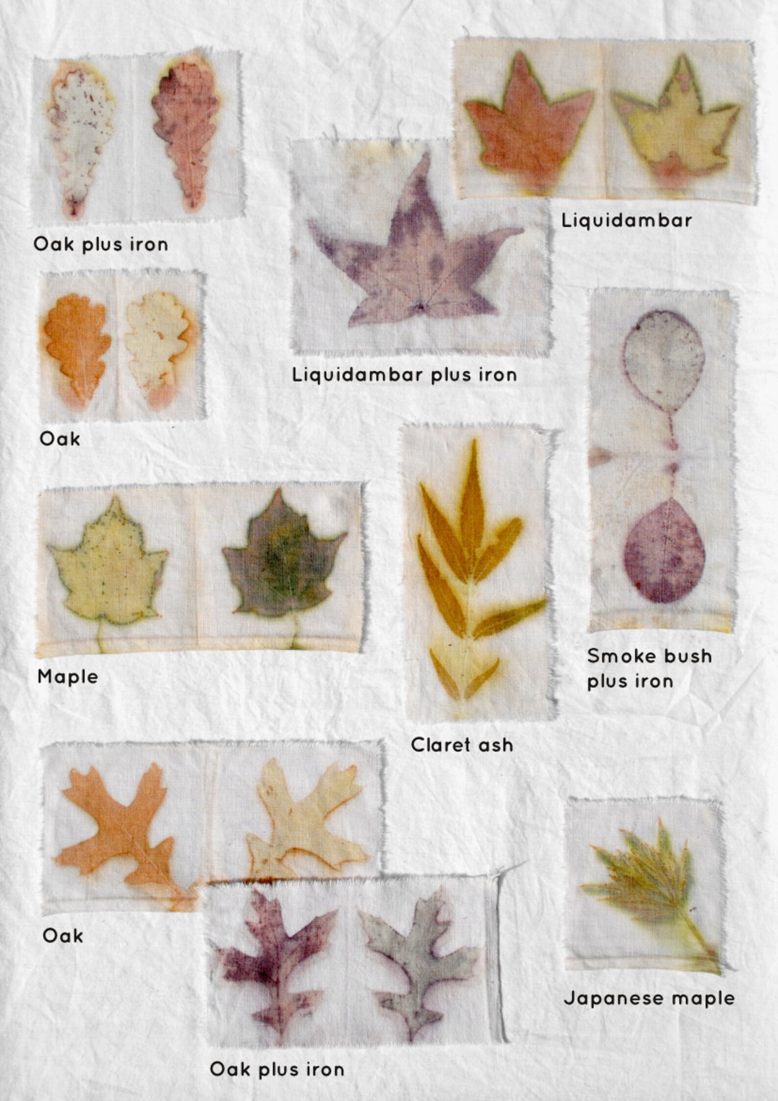 Soy Milk Binder Ebook // Natural Dyeing and Ecoprinting Etsy