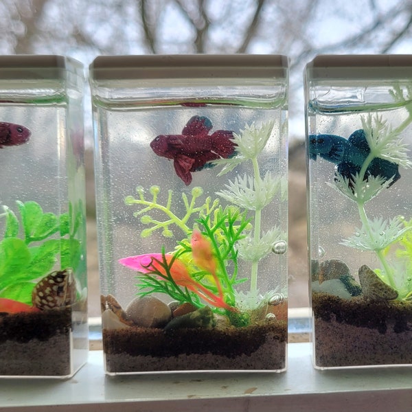 ONE  Betta mini Tic Tac container Aquarium, handmade miniatures