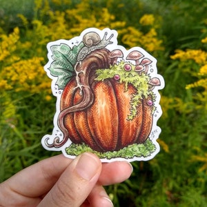 ONE Enchanted Pumpkin matte vinyl sticker