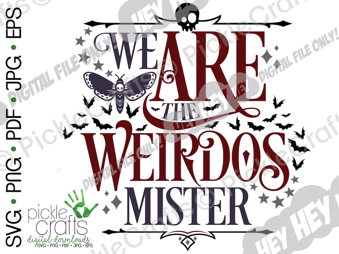 Nancy Downs We Are The Weirdos Mister Sticker Car Laptop Craft - Foto 6