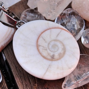 925 - Natural Shiva Shell Necklace, Sterling Silver Shiva Shell Natural Stone Pendants, Shiva Shell, 925 Silver Shell Necklace, Shiva Shell
