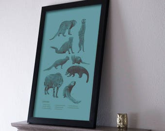 Viverroidea (Mongoose and Hyenas) Species Retro Travel Art Poster Modern Home Decor 11x17 18x24 24x36