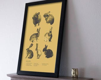 Lagomorph Print: Rabbit & Pika Species Retro Travel Poster