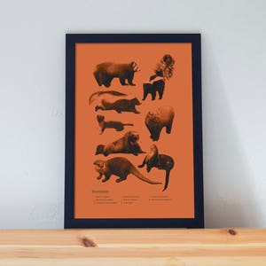 Musteloidea Family Art Poster: Retro Travel Style Home Decor