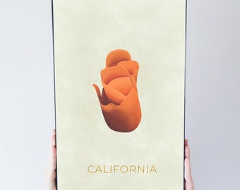 California State Flower Poppy Art Poster Modern Home Decor 11x17