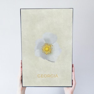 Georgia Cherokee Rose State Flower Art Poster Modern Home Decor 11x17