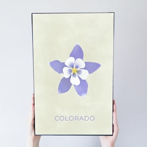 Colorado State Flower Rocky Mountain Columbine Art Poster Modern Home Decor 11x17