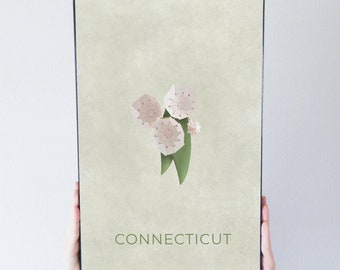 Connecticut Mountain Laurel State Flower Art Poster Modern Home Decor 11x17