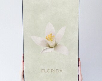 Florida Orange Blossom State Flower Art Poster Modern Home Decor 11x17