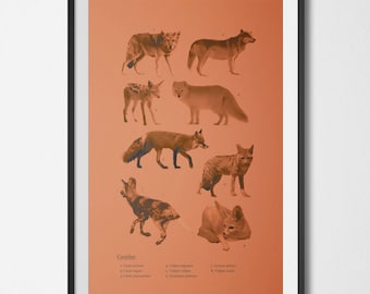 Canidae (Canines) Species Retro Travel Art Poster 11x17 Modern Home Decor 11x17 18x24 24x36