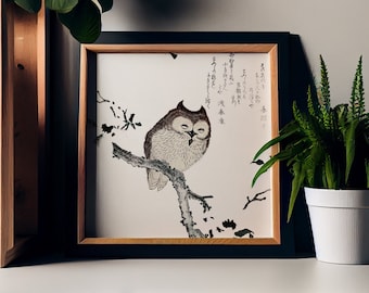 Cute Vintage Owl Print - Square Owl Print - vintage Japanese print by Kubota Shunman