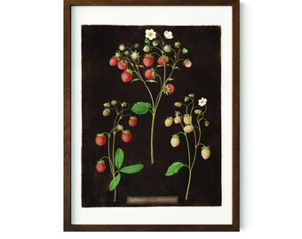 Vintage Wild Strawberry Botanical Print, Dark Cottagecore Wall Art, Antique Fruit Illustration, Moody Kitchen