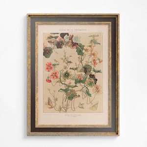 Vintage bloemsierkunst - Parijs - sierlijke nouveauprint - bohoprint groot kunstwerk - beige