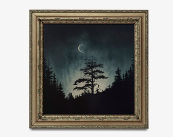 Puede incluir: Una pintura enmarcada que representa una escena de bosque oscuro con un solo árbol alto en el centro. El cielo es azul oscuro con una luna creciente y estrellas. Los árboles están silueteados contra el cielo nocturno.