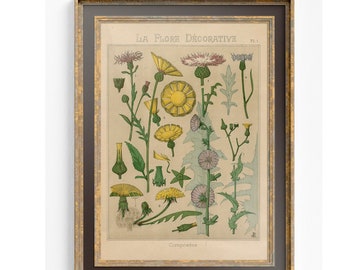 Wildflowers Vintage Botanical - Art Nouveau Poster Floral Print Bohemian Print Large Artwork