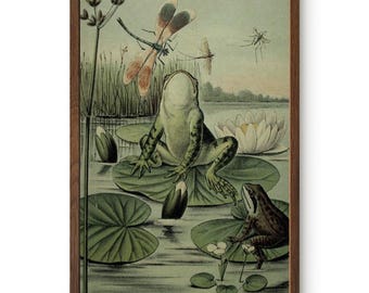 Vintage Frog Art Print - Nature Artwork - Dragonflies -