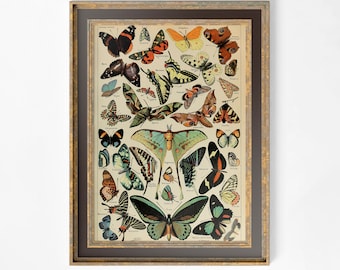 Cartel de mariposa Art Nouveau Estampado floral Impresión boho Obra de arte grande - Alphonse Millot