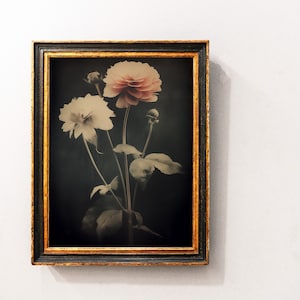 Vintage Roses - Moody Floral Print - Dark Academia - Whimsigoth - Anthotype Print  - Beige and Black - Vintage