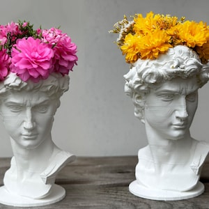 Puede incluir: Dos bustos de yeso blanco de la cabeza de un hombre, cada uno con un arreglo floral de diferente color en la parte superior. Un busto tiene flores rosas y el otro tiene flores amarillas.